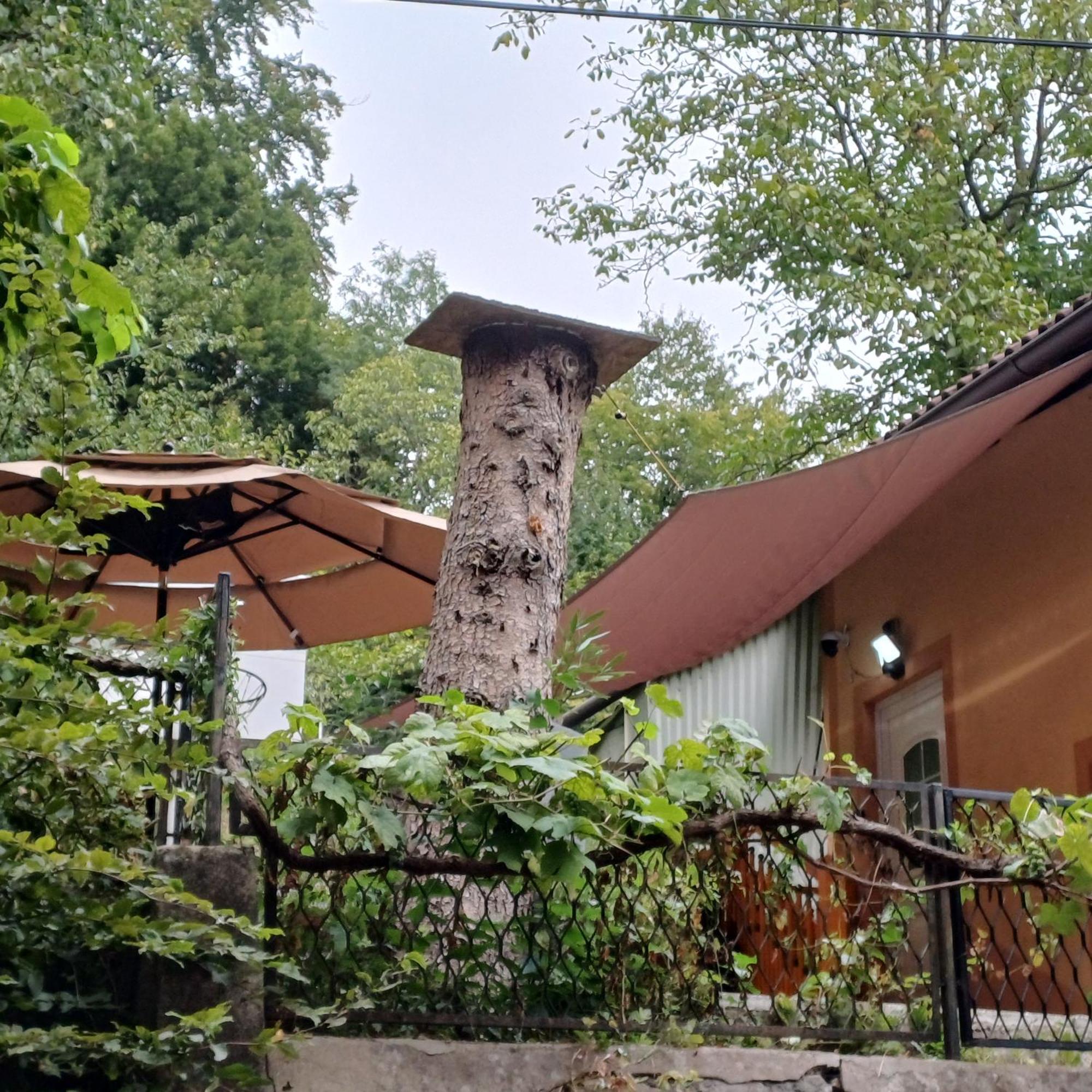 Naturparadies Marktl 外观 照片